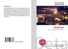 Capa do livro de Basaluzzo 