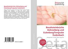 Buchcover von Basaltsteinbrüche Hühnerberg und Eulenberg/Tongrube Eudenbach