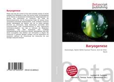 Capa do livro de Baryogenese 