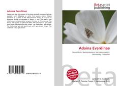 Capa do livro de Adaina Everdinae 