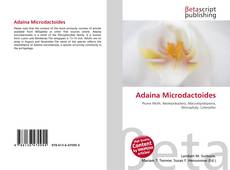 Copertina di Adaina Microdactoides