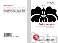 Copertina di Adaina Montanus