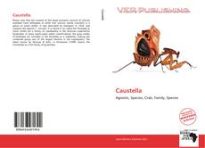 Portada del libro de Caustella