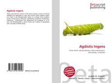 Buchcover von Agdistis Ingens