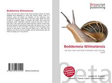 Buchcover von Beddomeia Wilmotensis