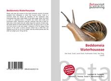 Buchcover von Beddomeia Waterhouseae