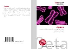Buchcover von GMEB2