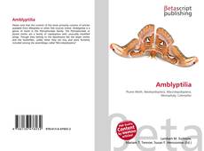 Couverture de Amblyptilia
