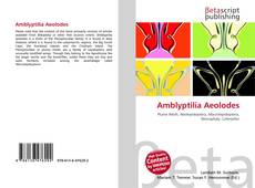 Buchcover von Amblyptilia Aeolodes