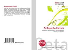 Couverture de Amblyptilia Clavata