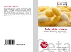 Buchcover von Amblyptilia Hebeata