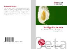 Couverture de Amblyptilia Incerta
