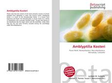 Buchcover von Amblyptilia Kosteri