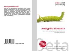 Copertina di Amblyptilia Lithoxesta