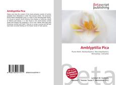 Couverture de Amblyptilia Pica