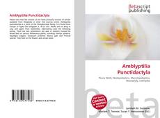 Copertina di Amblyptilia Punctidactyla