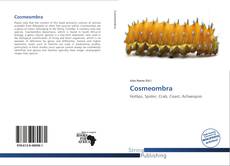 Capa do livro de Cosmeombra 