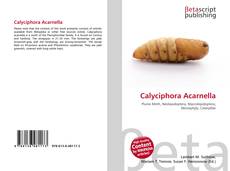 Capa do livro de Calyciphora Acarnella 