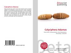 Capa do livro de Calyciphora Adamas 