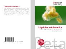 Portada del libro de Calyciphora Golestanica