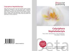 Portada del libro de Calyciphora Nephelodactyla