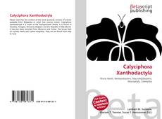 Portada del libro de Calyciphora Xanthodactyla