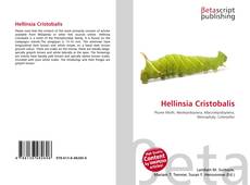 Capa do livro de Hellinsia Cristobalis 