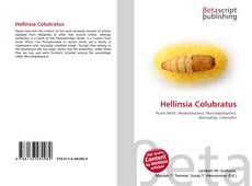 Capa do livro de Hellinsia Colubratus 