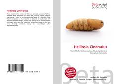 Capa do livro de Hellinsia Cinerarius 