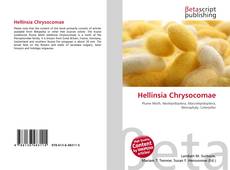 Capa do livro de Hellinsia Chrysocomae 