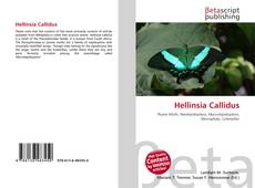 Capa do livro de Hellinsia Callidus 