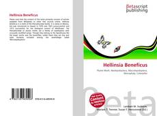 Copertina di Hellinsia Beneficus