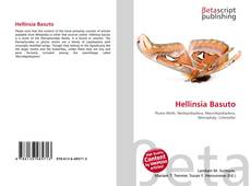 Buchcover von Hellinsia Basuto