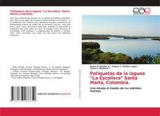 Buchcover von Poliquetos de la laguna "La Escollera" Santa Marta, Colombia.