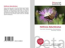 Copertina di Hellinsia Adumbratus