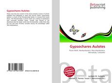 Couverture de Gypsochares Aulotes