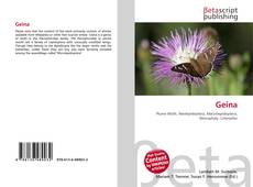 Geina的封面