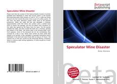Speculator Mine Disaster的封面