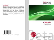 Couverture de Andende