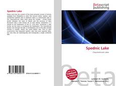 Buchcover von Spednic Lake