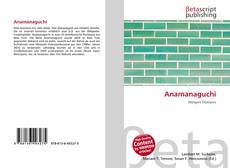 Anamanaguchi的封面