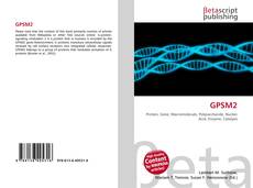Copertina di GPSM2