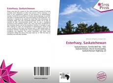 Bookcover of Esterhazy, Saskatchewan