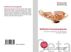 Copertina di Hellinsia Fuscomarginata