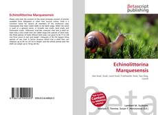 Couverture de Echinolittorina Marquesensis