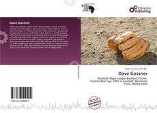 Dave Gassner的封面