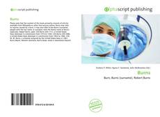 Burns的封面
