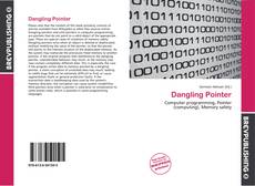 Dangling Pointer的封面
