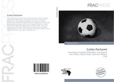 Bookcover of Carlos Pachamé