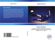 Capa do livro de Breno Borges 